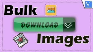 Bulk Image Downloader 6.35 Crack & Registration Code Full Version