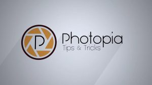 Photopia Director Crack V2.0.955 & License Code Download