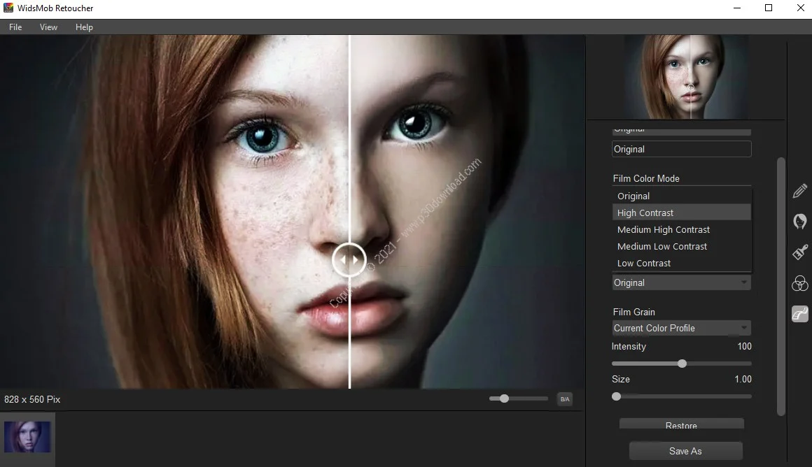 Widsmob Retoucher Crack
