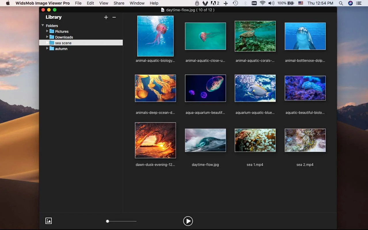 Widsmob Viewer Pro