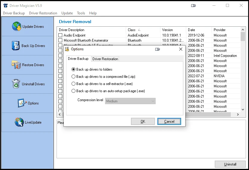 Driver Magician Crack
